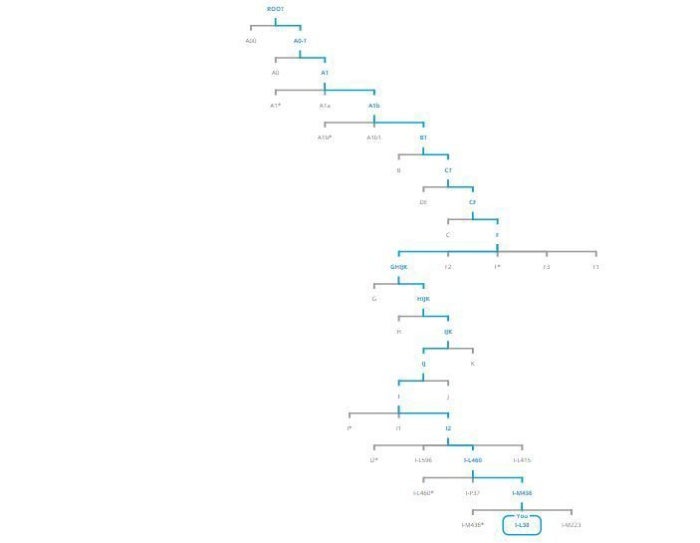 father phylogenetic tree