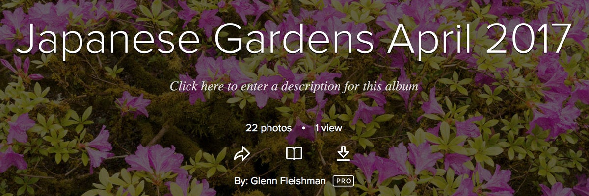 So laden Sie Ihre Flickr-Fotobibliothek herunter und übertragen sie in Google Photos oder die iCloud-Fotobibliothek So laden Sie Ihre Flickr-Fotobibliothek herunter und übertragen sie in Google Photos oder die iCloud-Fotobibliothek