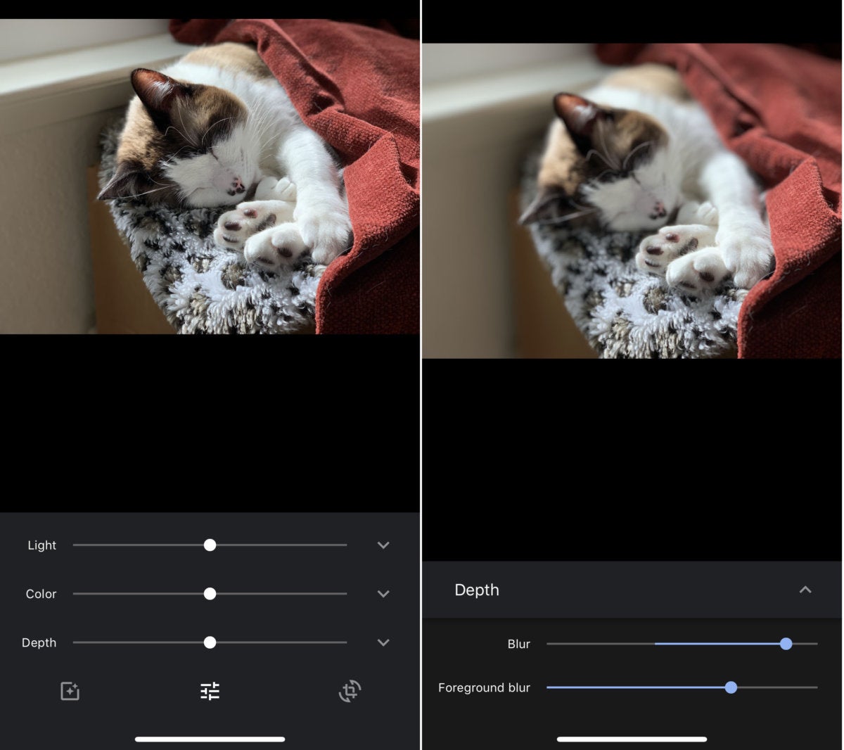 google photos blur kitty