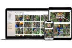 How to restore missing photos after downgrading iCloud storage