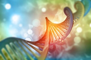 Cloud in their DNA: Digital Innovation at Mediacloud