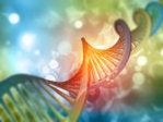 Cloud in their DNA: Digital Innovation at Mediacloud