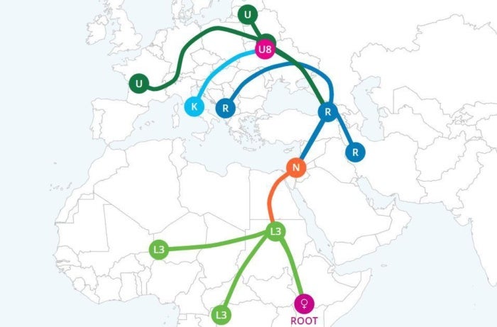 motherline migration map