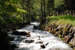 Organizing around the value stream