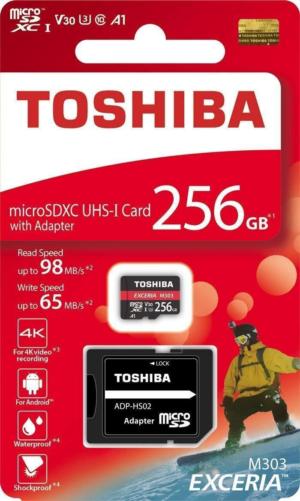 toshiba class 10 v30