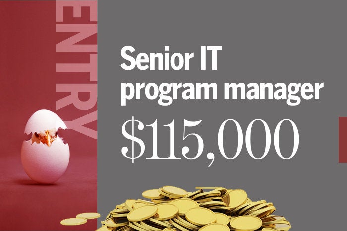 2018 entry 3 senior it program manager