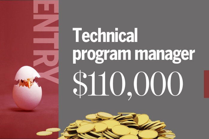 2018 entry 4 technical program manager
