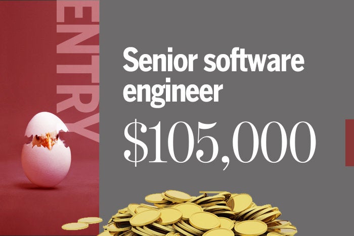 Senior software engineer