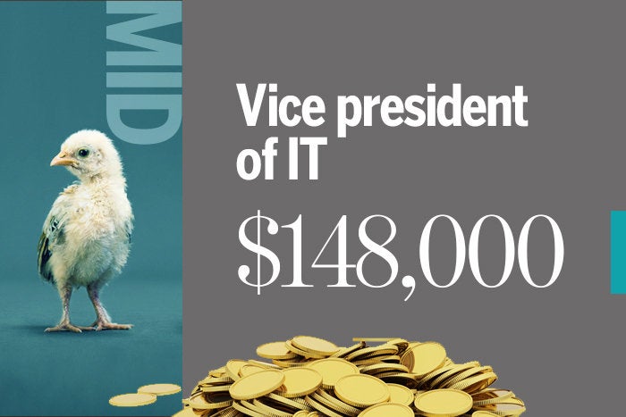 Vice president of IT