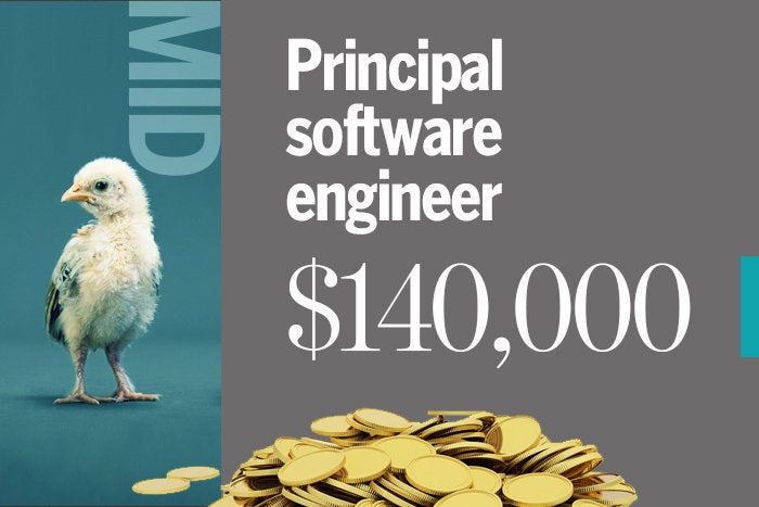 principal software engineer vs senior