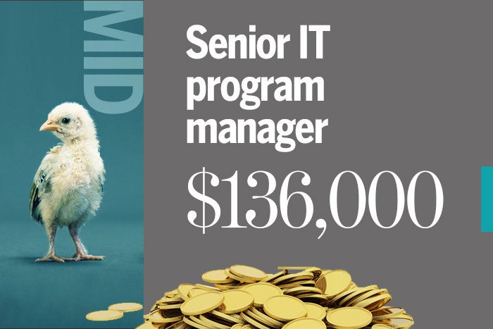 Senior IT program manager