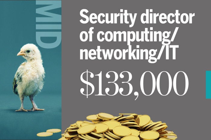 Security director of computing/networking/IT