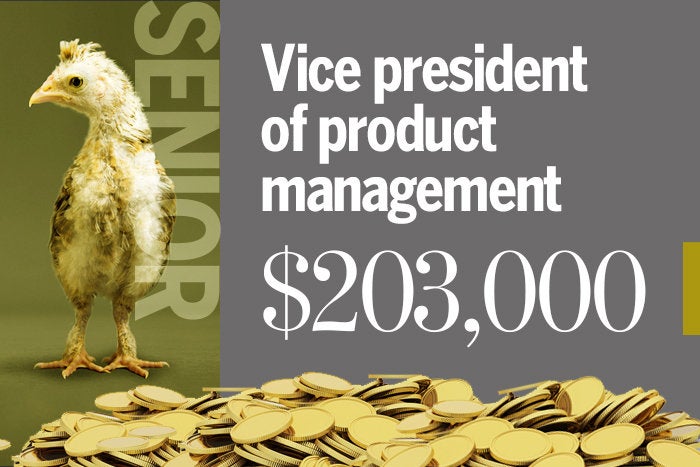 Vice president of product management