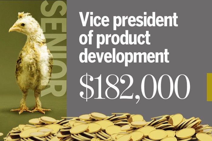 Vice president of product development