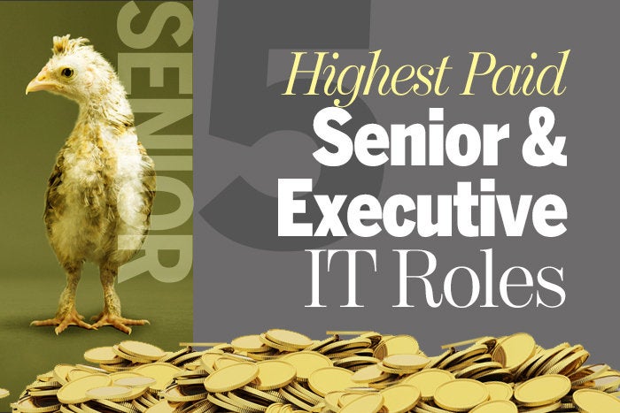 5 highest paid senior and executive roles