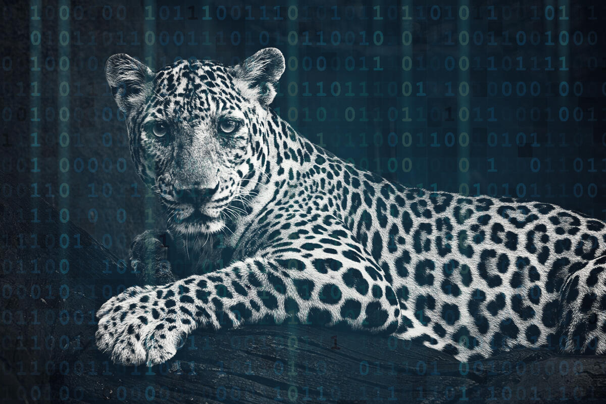 Image: Reskilling for digital...or, can a leopard really change its spots?