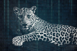 Reskilling for digital...or, can a leopard really change its spots?