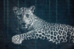 Reskilling for digital...or, can a leopard really change its spots?