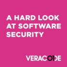 A Hard Look at Software Security
