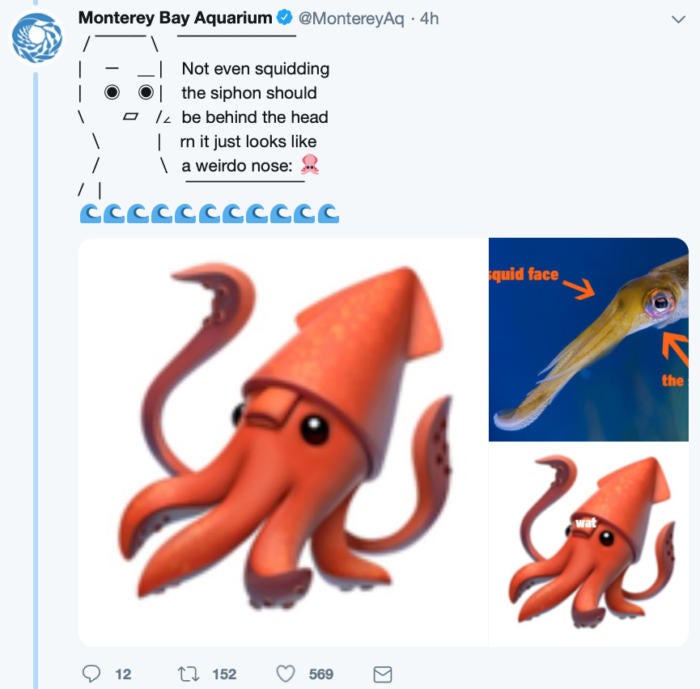 squid