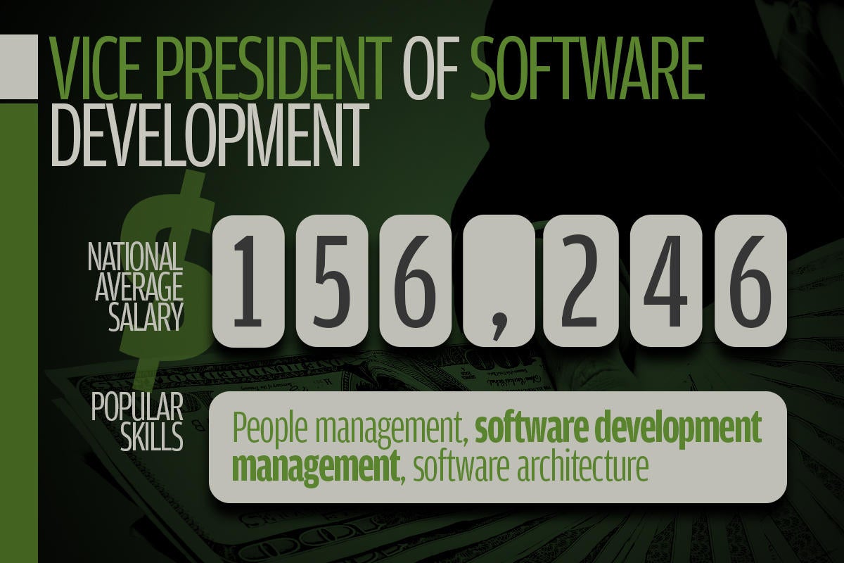 11 vice president of software development