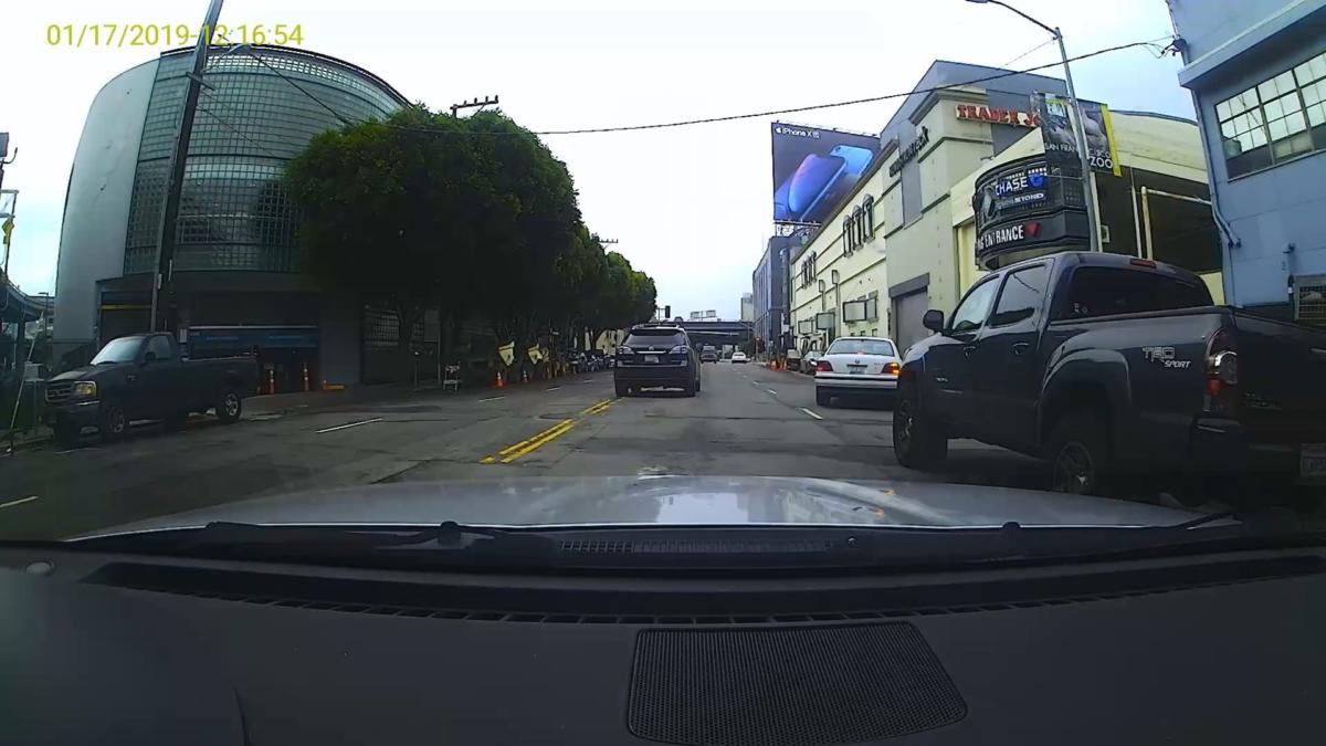 purecam daylight