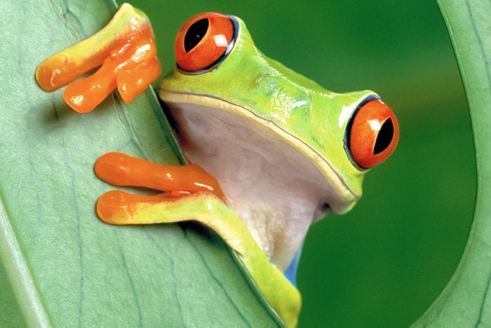 JFrog offers software distribution as a service
