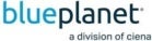bp division logo v1