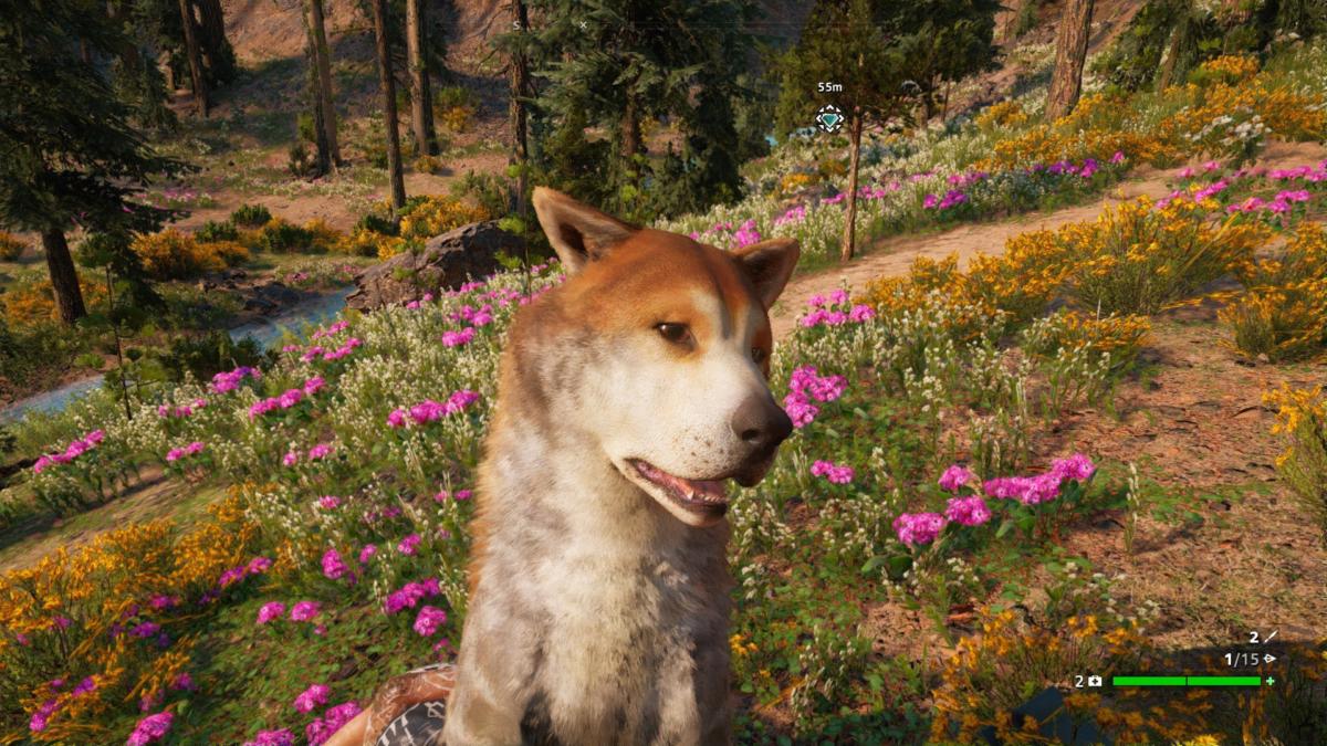 Far Cry New Dawn