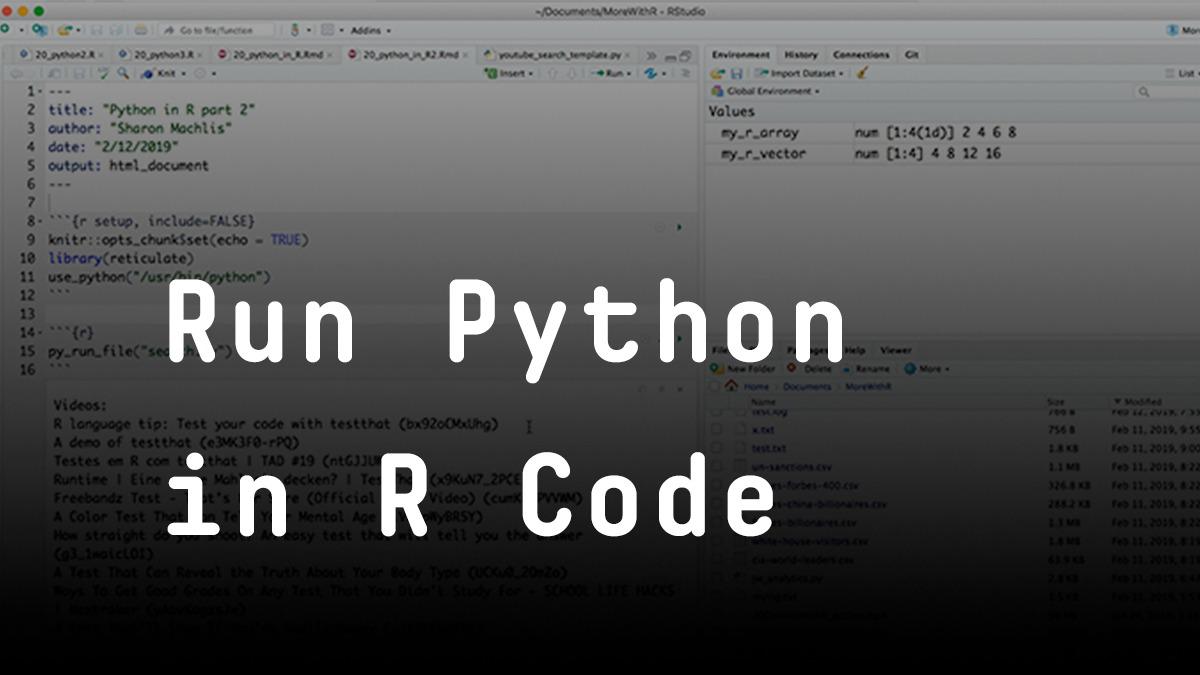 auto run python code