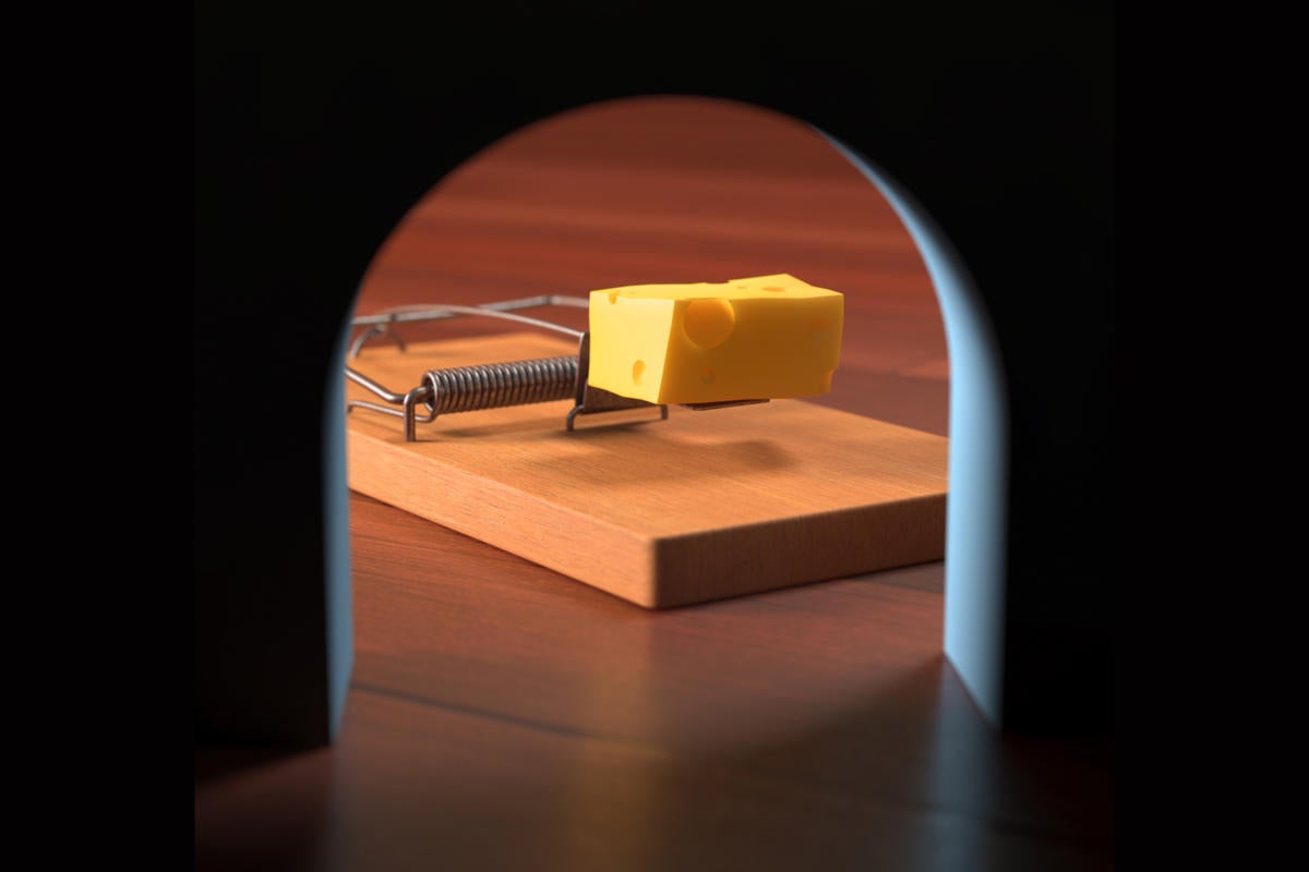 Mousetrap and cheese, seen floor-level from the perspective of the mouse.