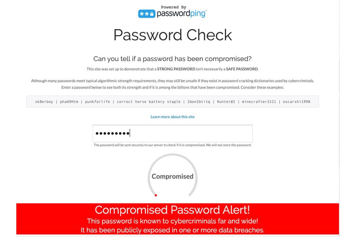 passwordping password check