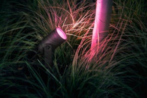 philips hue lily pink