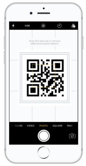 Bumble Bee blockchain SAP
