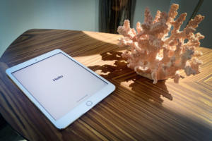 ipad mini
