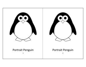 portrait penguin