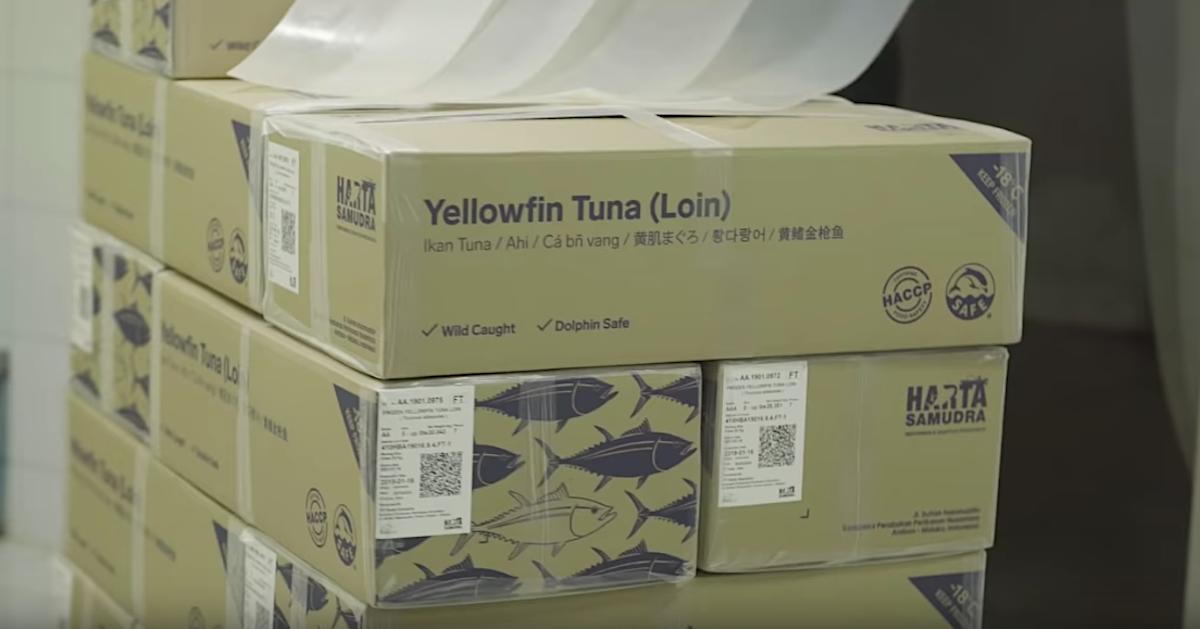 Tuna loins with QR-coded labels