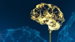 Bias in AI: Creating Artificial Intelligence that is Less like Humans