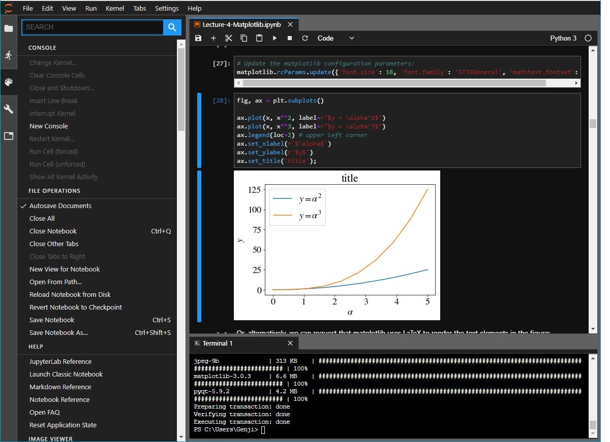 jupyter notebooks