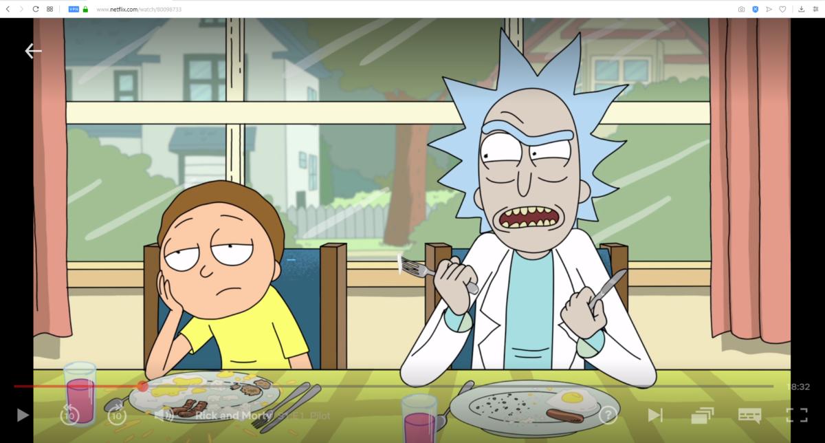 rick and morty netflix opera vpn