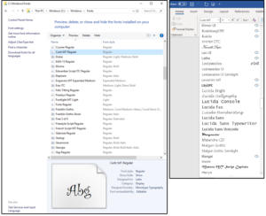 x03 viewselect typefaces from the windows fonts folder or the word fonts list