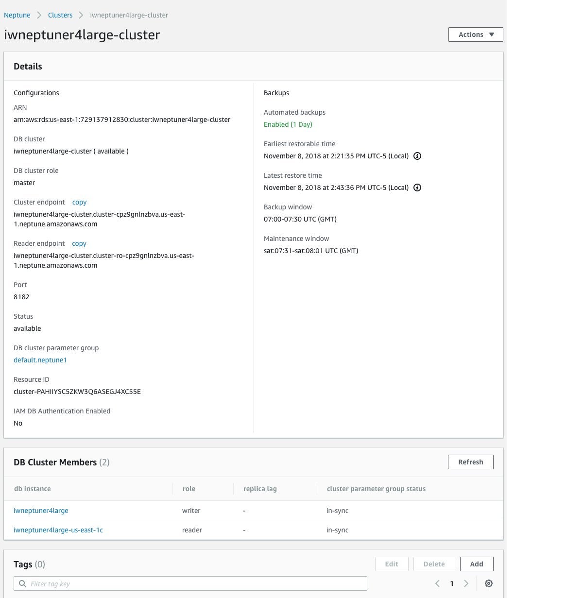 amazon neptune cluster overview 08