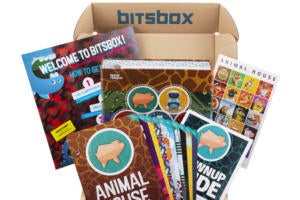 bitsbox subscription
