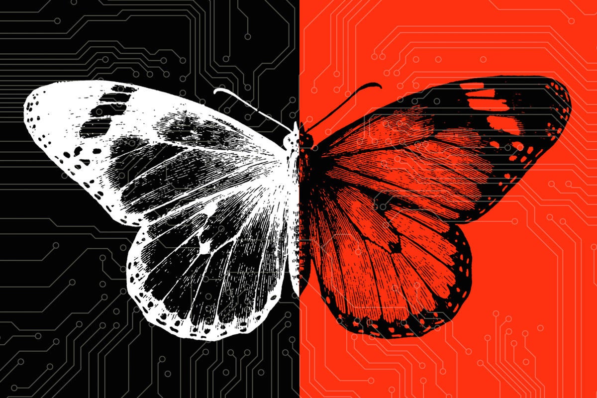 digital transformation butterfly metamorphosis change gap