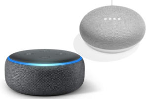 google home mini echo dot