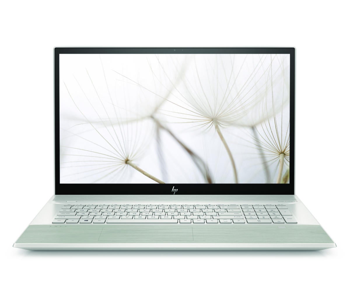 hp envy 17 in natural silver pale birch front