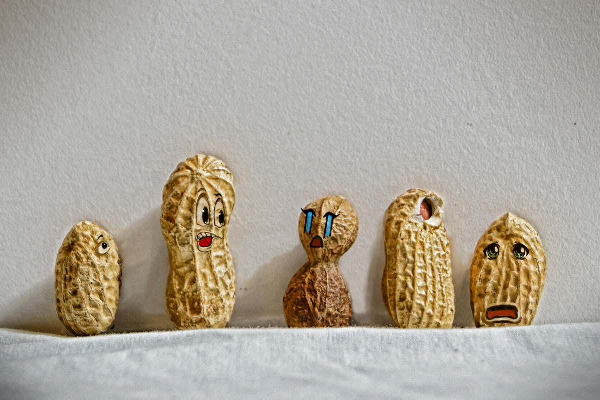 Lineup of anthropomorphic nuts, illustrating polymorphism.