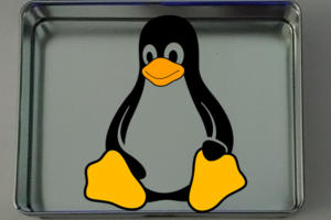 tux in container
