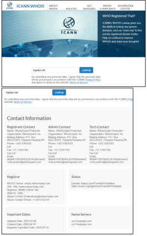 01 icann whois information