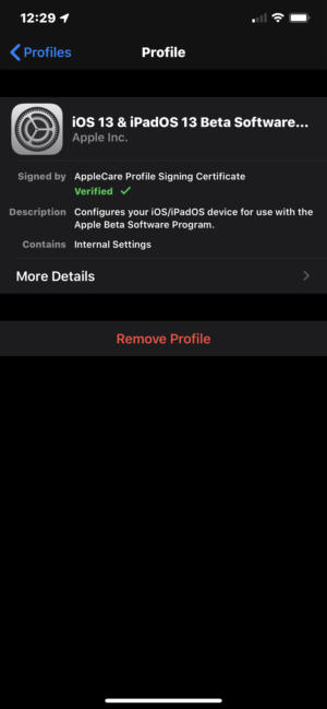 iOS 13 beta profile